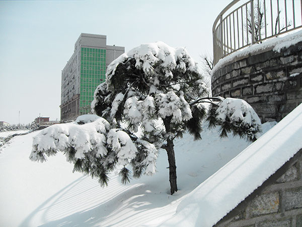 After a snowfall